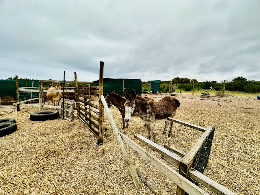 3 Bedroom Property for Sale in Franskraal Western Cape